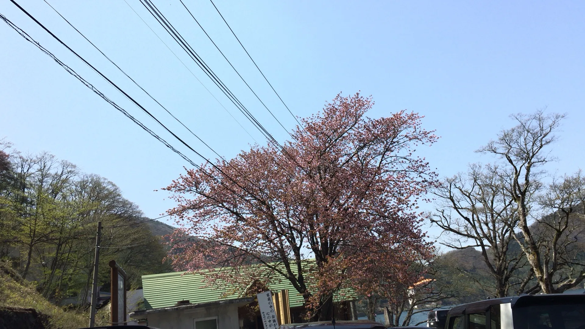 2015-05-02 13.54.18