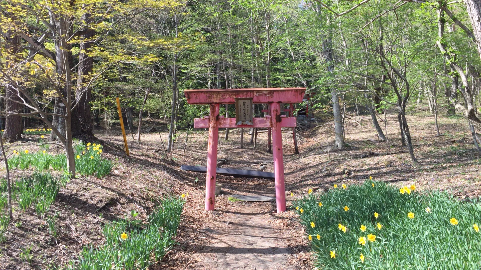 2015-05-02 14.53.20