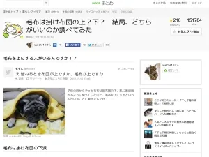 毛布は掛け布団の上?下? 結局、どちらがいいのか調べてみた